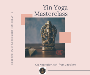 Ashoka Yin yoga masterclass